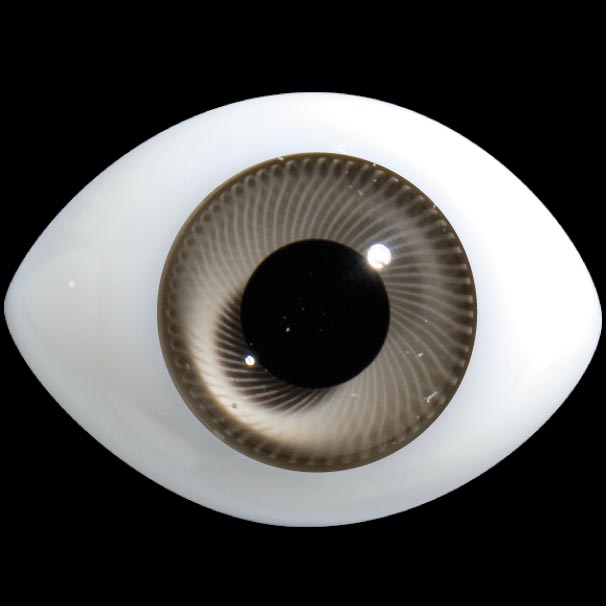 D24 Oval