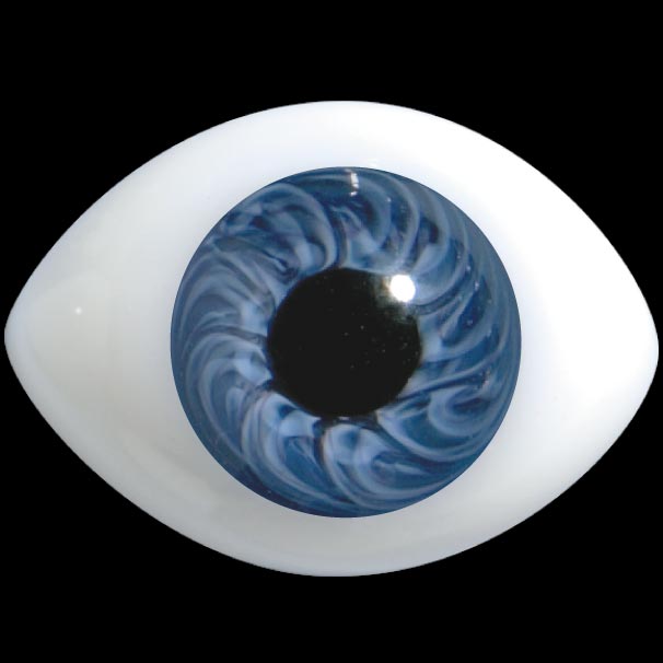 Regular Oval