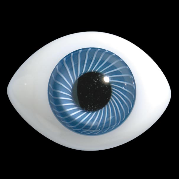 D31 Oval