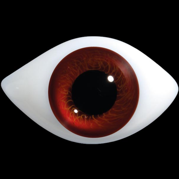 D400LL HD Elongated Oval