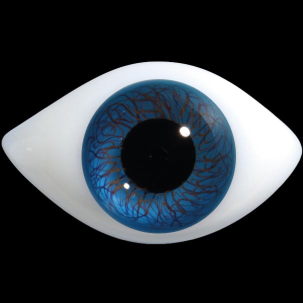 Blue Green D300 Elongated Oval Natural Glass Eyes - Glass Doll Eyes