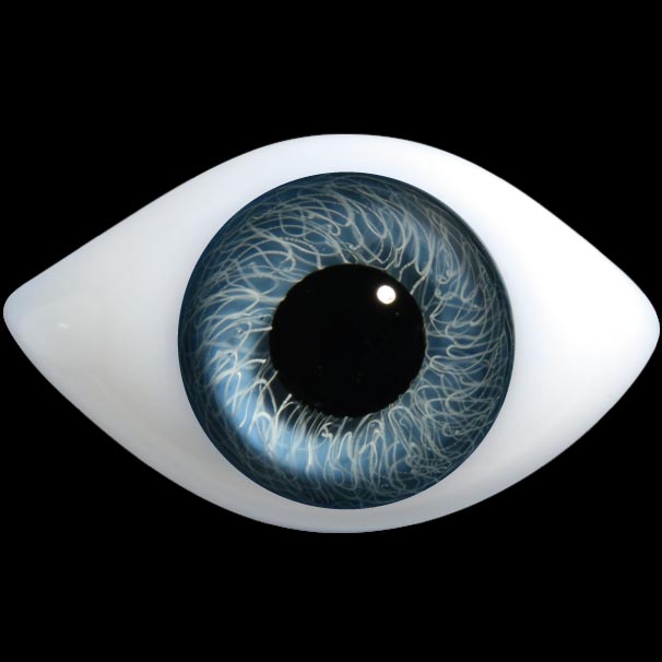 D400 Series Glass Paperweight Eyes